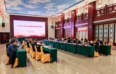 座谈会.jpg
