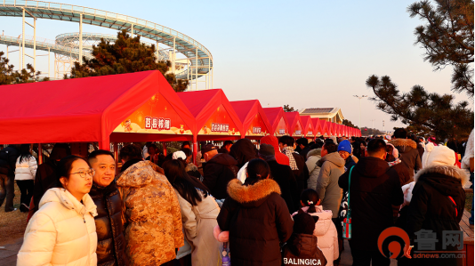 1月1日 (1)(11)